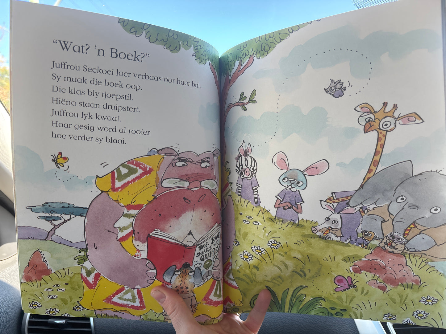 Die baie, baie snaakse boek