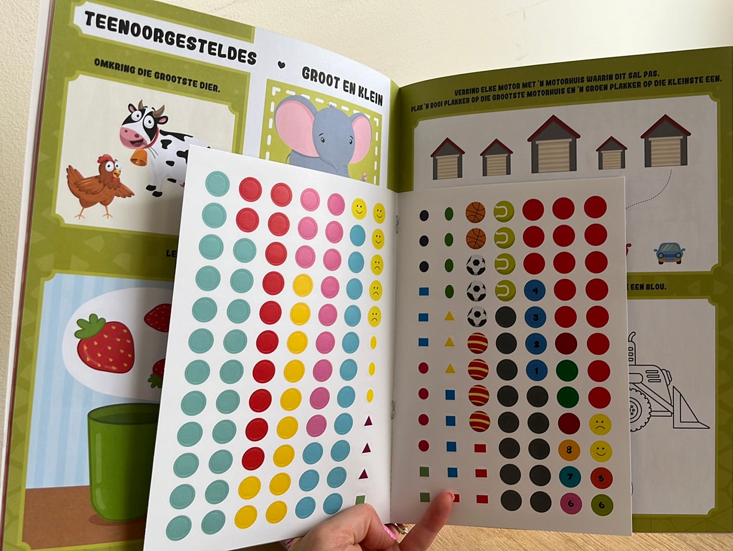 Leer Van Vorms En Teenoorgesteldes Saam Met Krokkie Krokodil