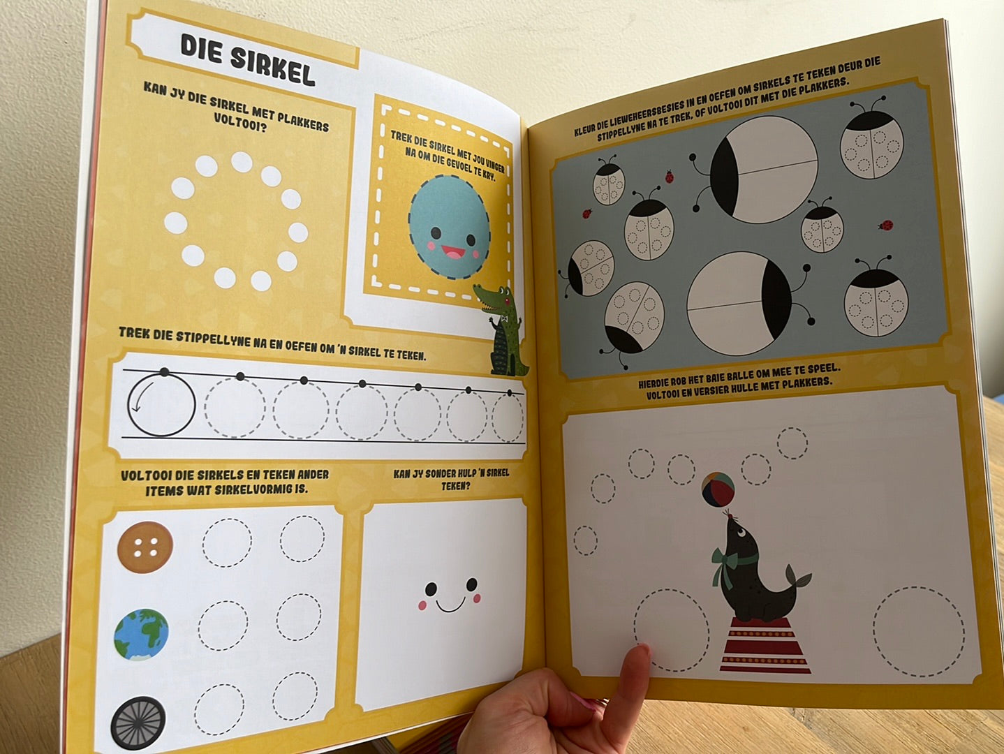 Leer Van Vorms En Teenoorgesteldes Saam Met Krokkie Krokodil