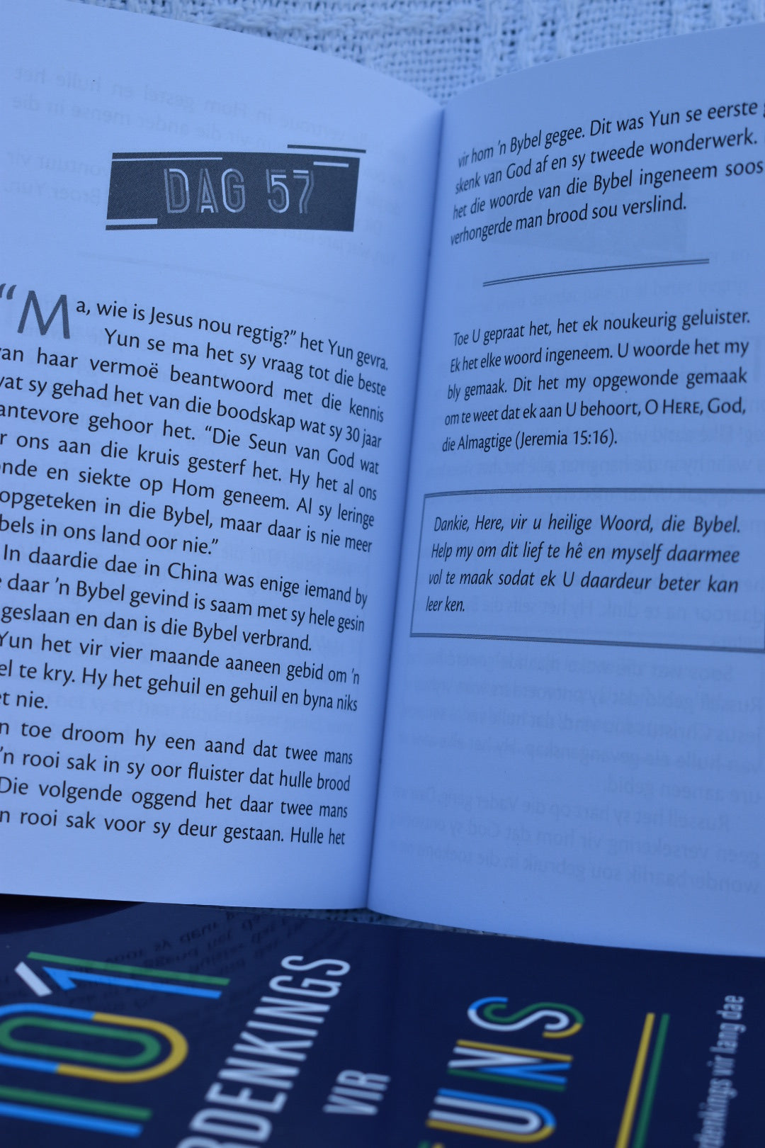 101 Oordenkings vir Seuns (Sagteband)