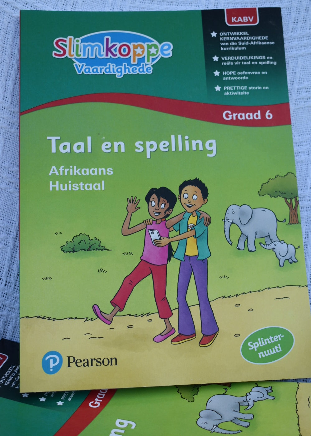 Taal en Spelling Graad 6