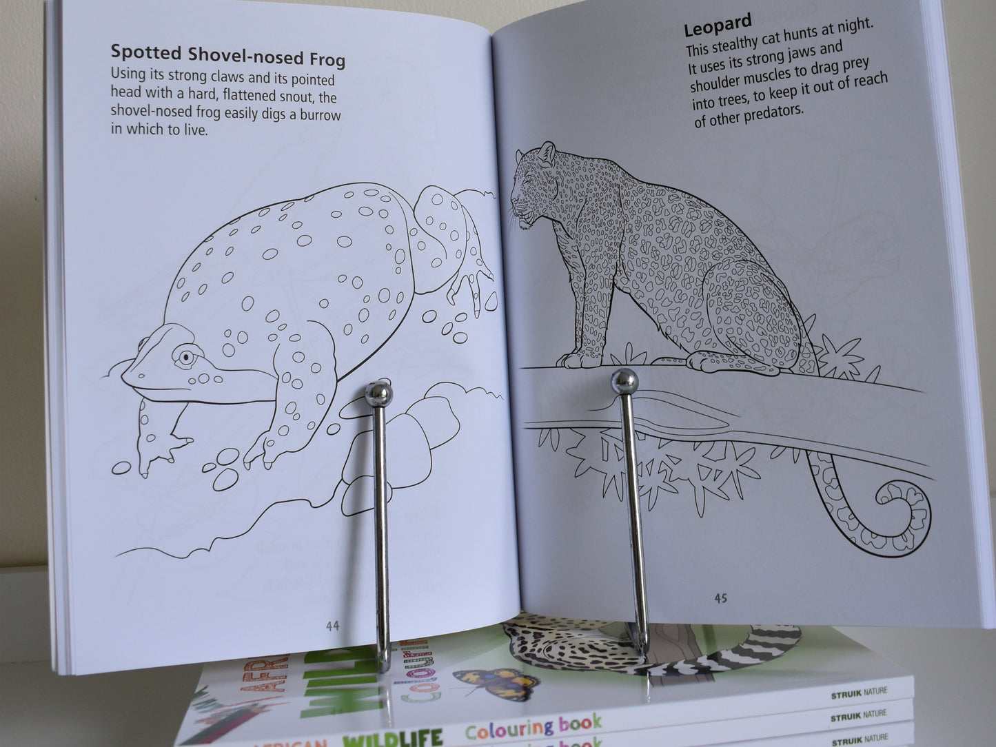 African Wildlife Colouring Book