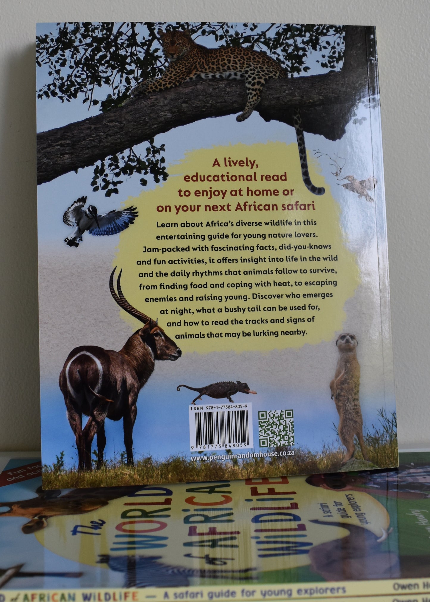 The World Of African Wildlife