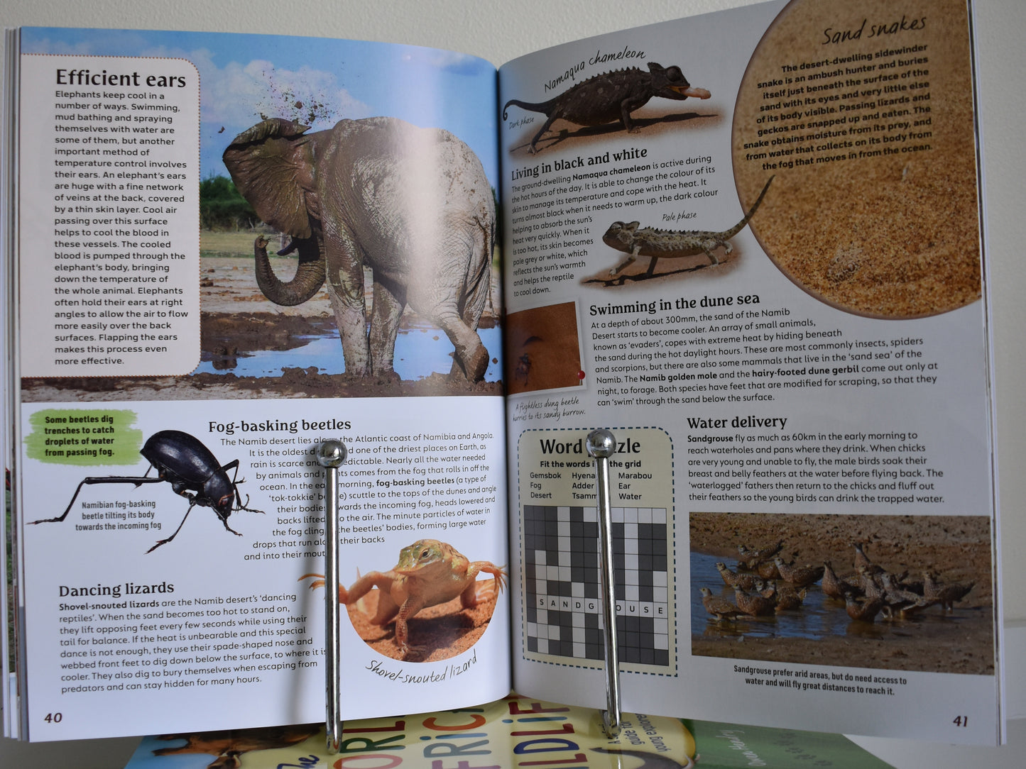 The World Of African Wildlife