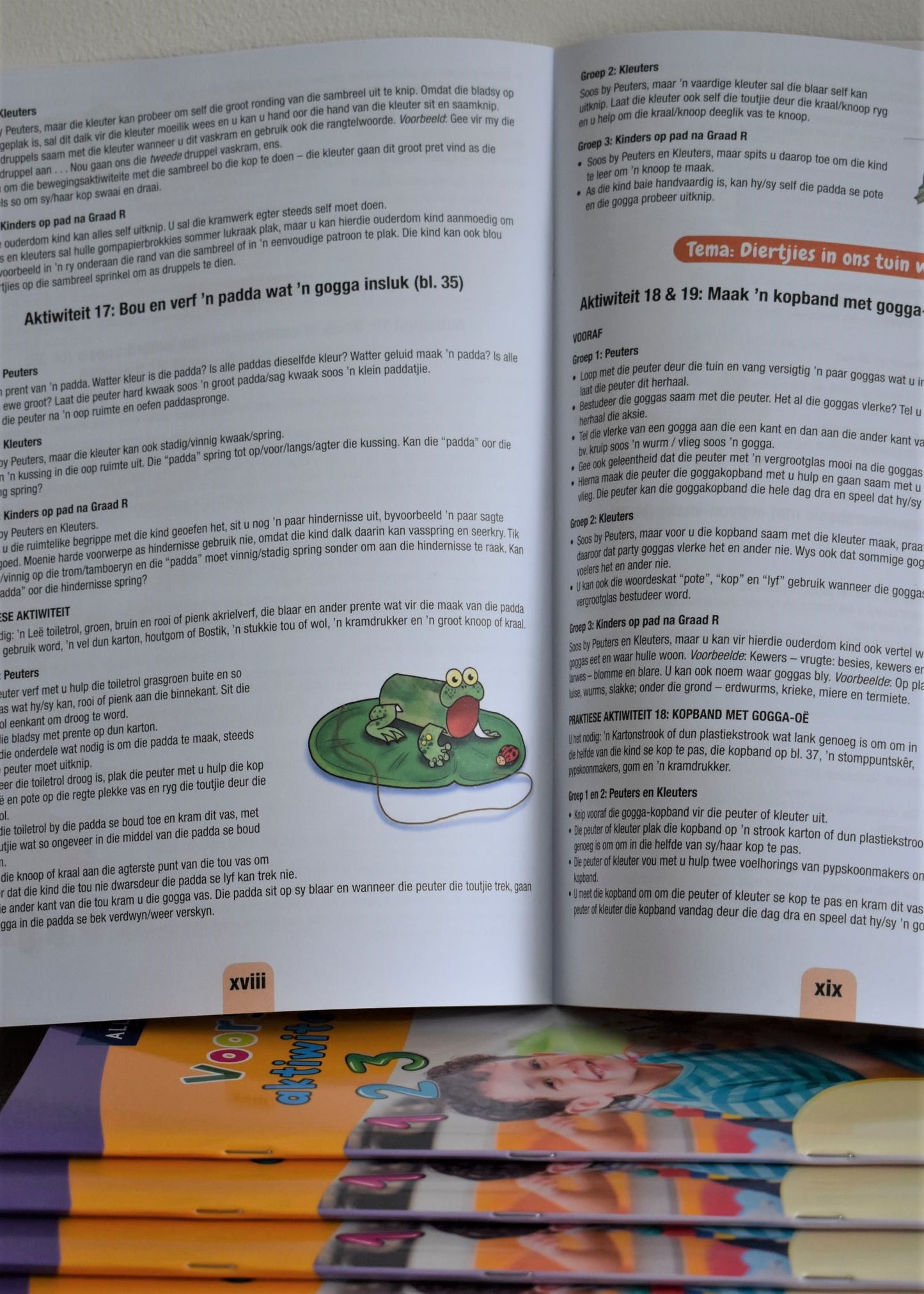 Nuwe Alles-In-Een Voorskoolse Aktiwiteitsboek 2