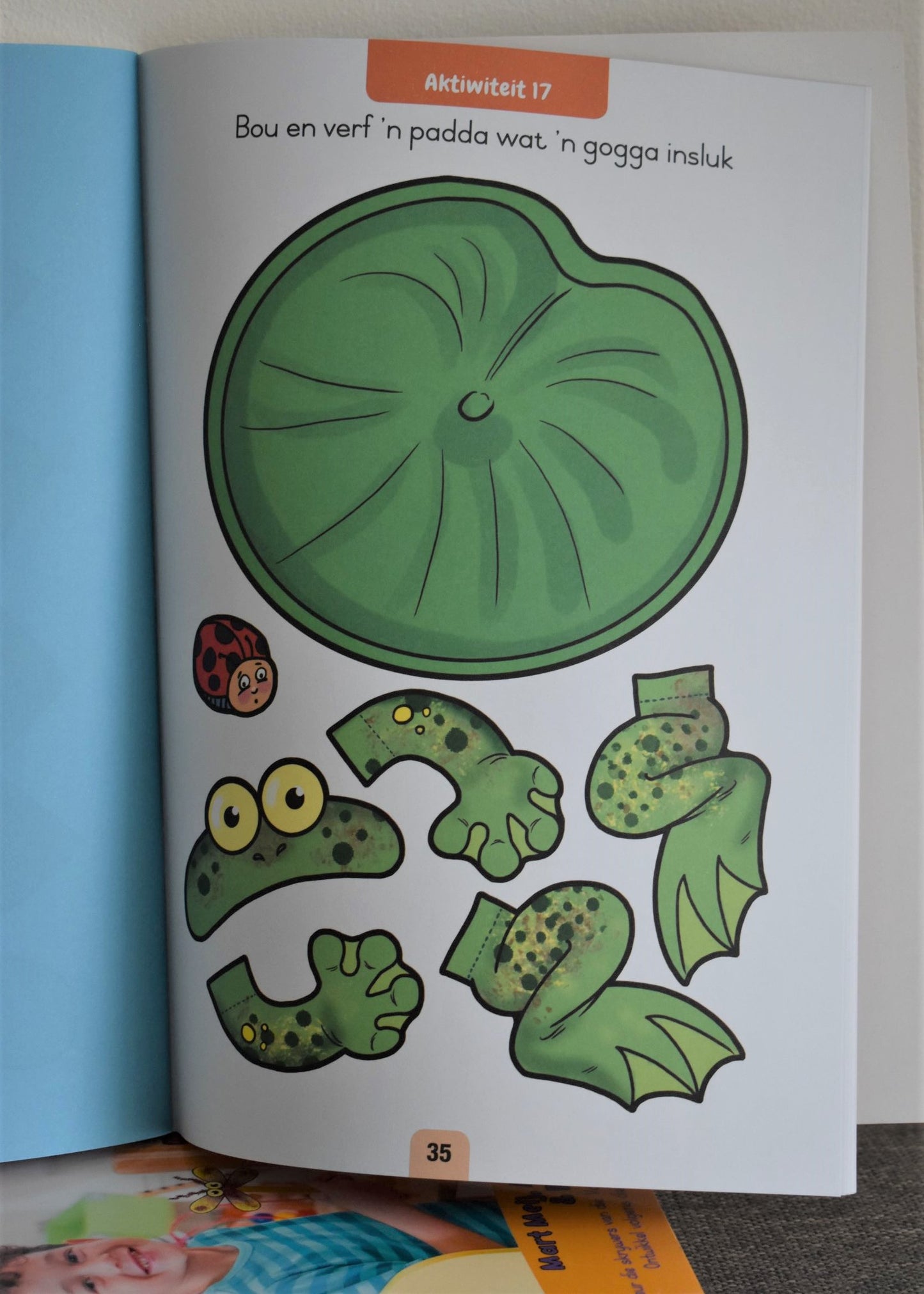 Nuwe Alles-In-Een Voorskoolse Aktiwiteitsboek 2