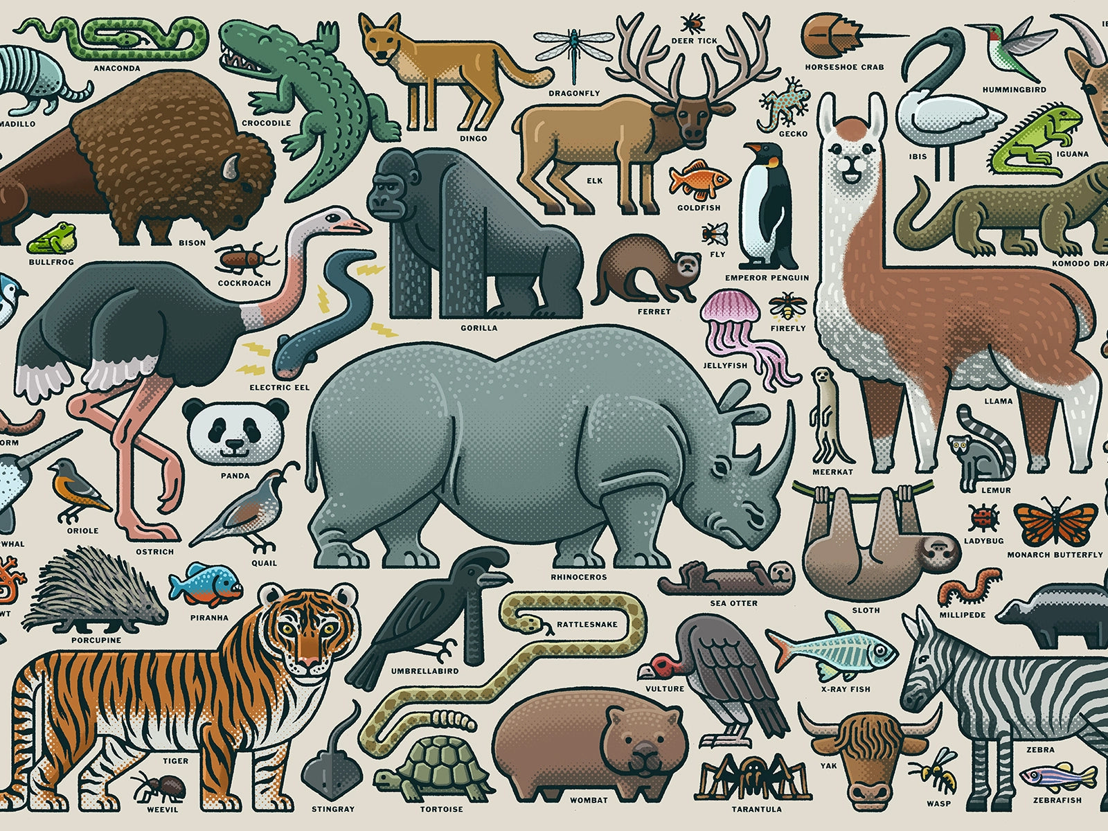 Diere / Animals – Boekwurm
