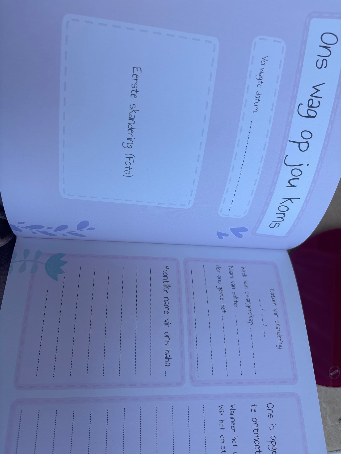 Ons baba se eerste jaar