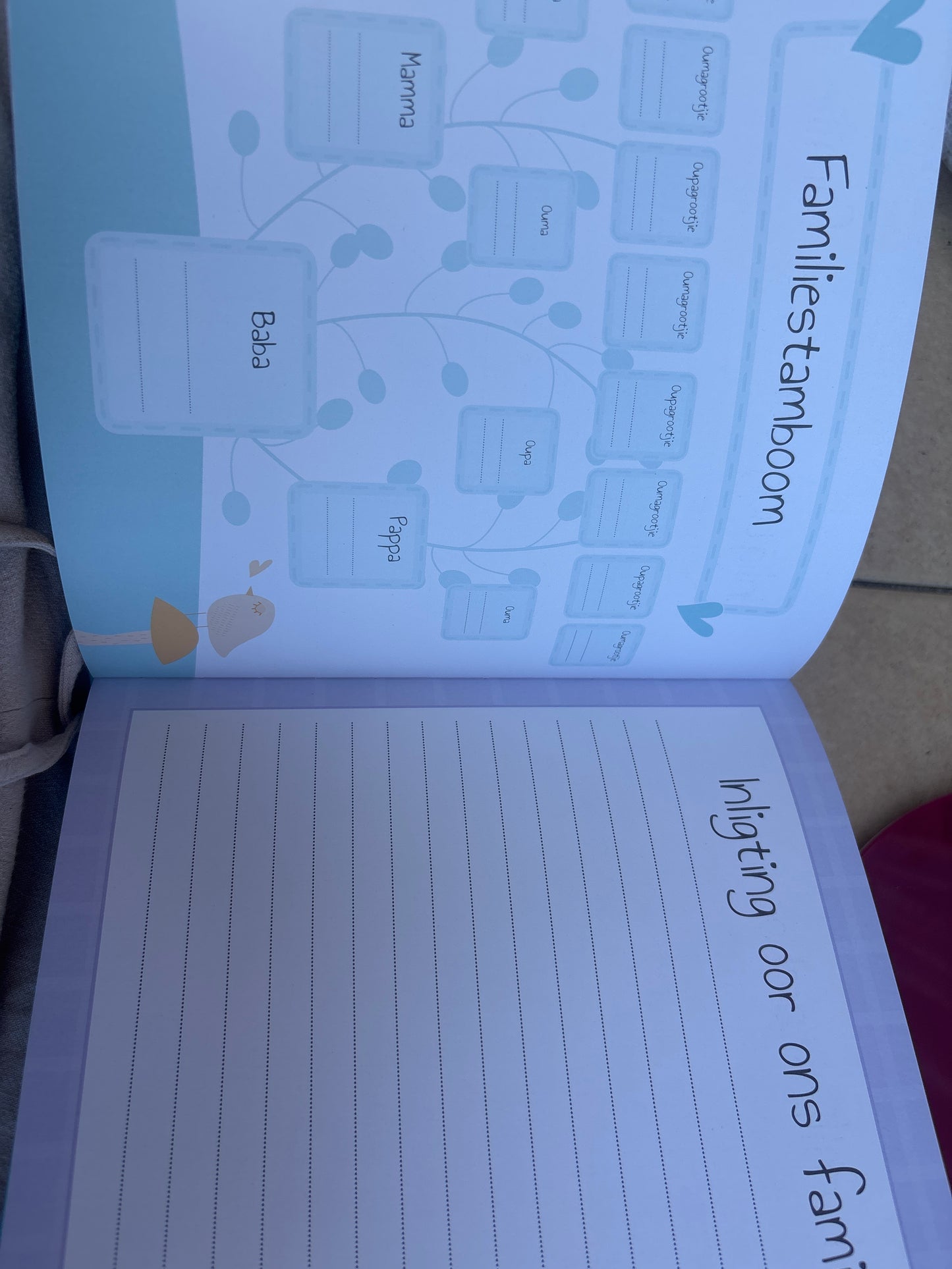 Ons baba se eerste jaar