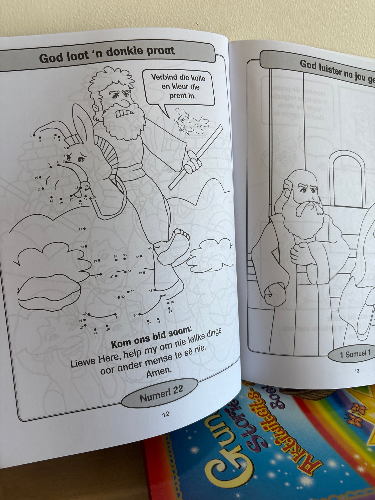 My Gunsteling Storie-Bybel Aktiwiteits- en Inkleurboek