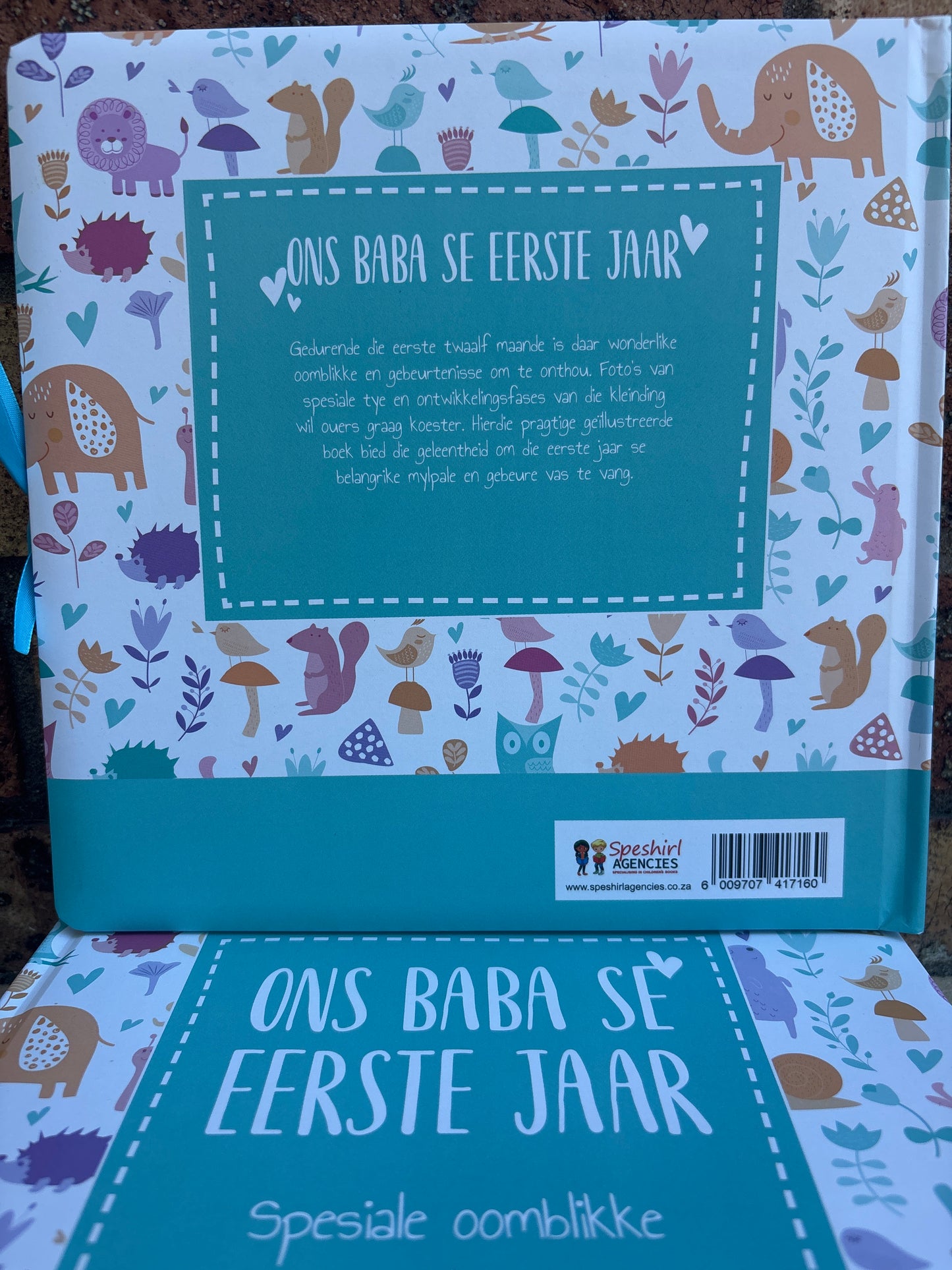 Ons baba se eerste jaar