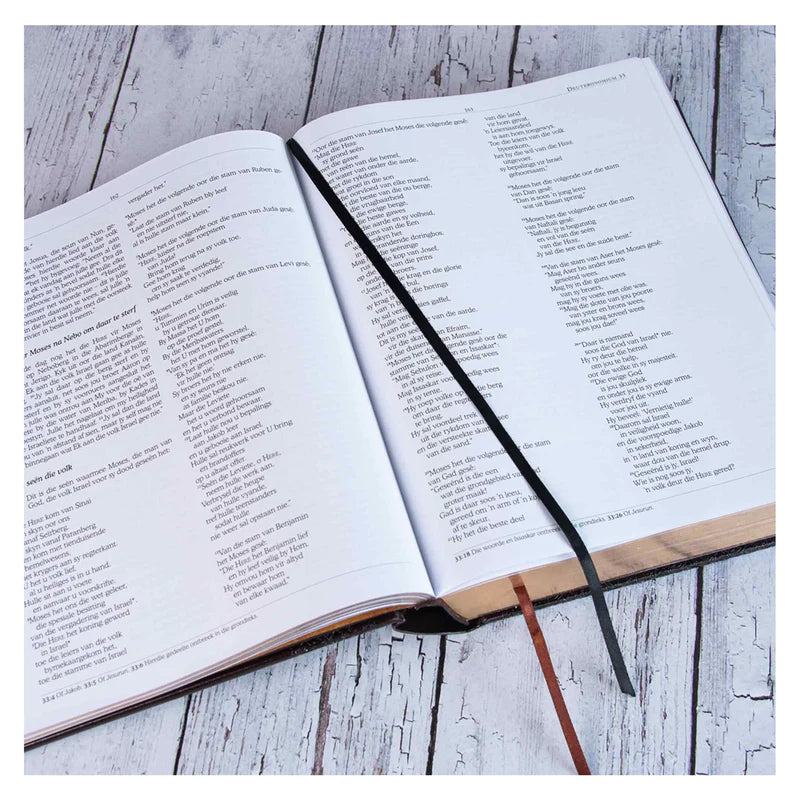 Die Familiebybel (NLV)