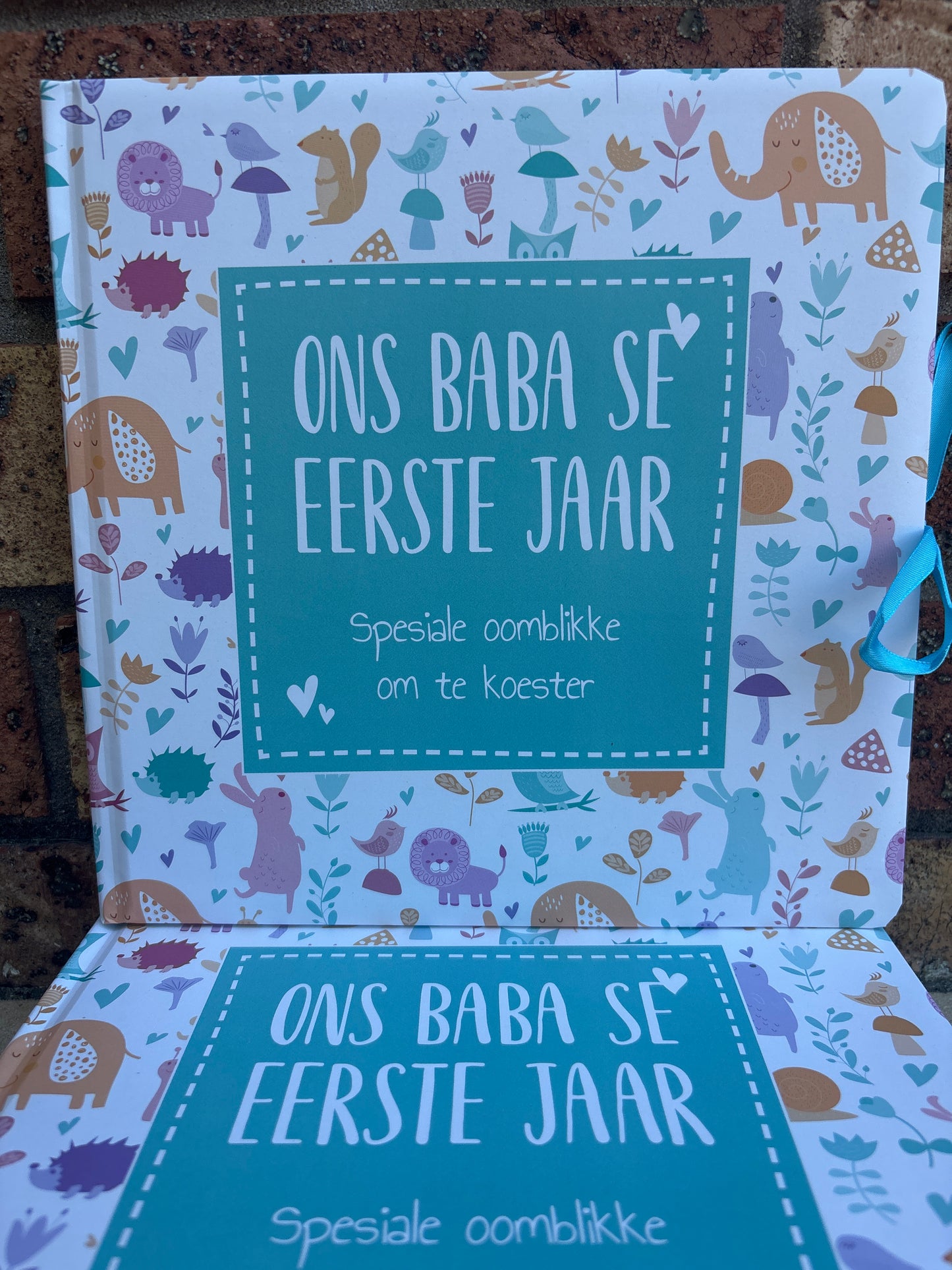 Ons baba se eerste jaar