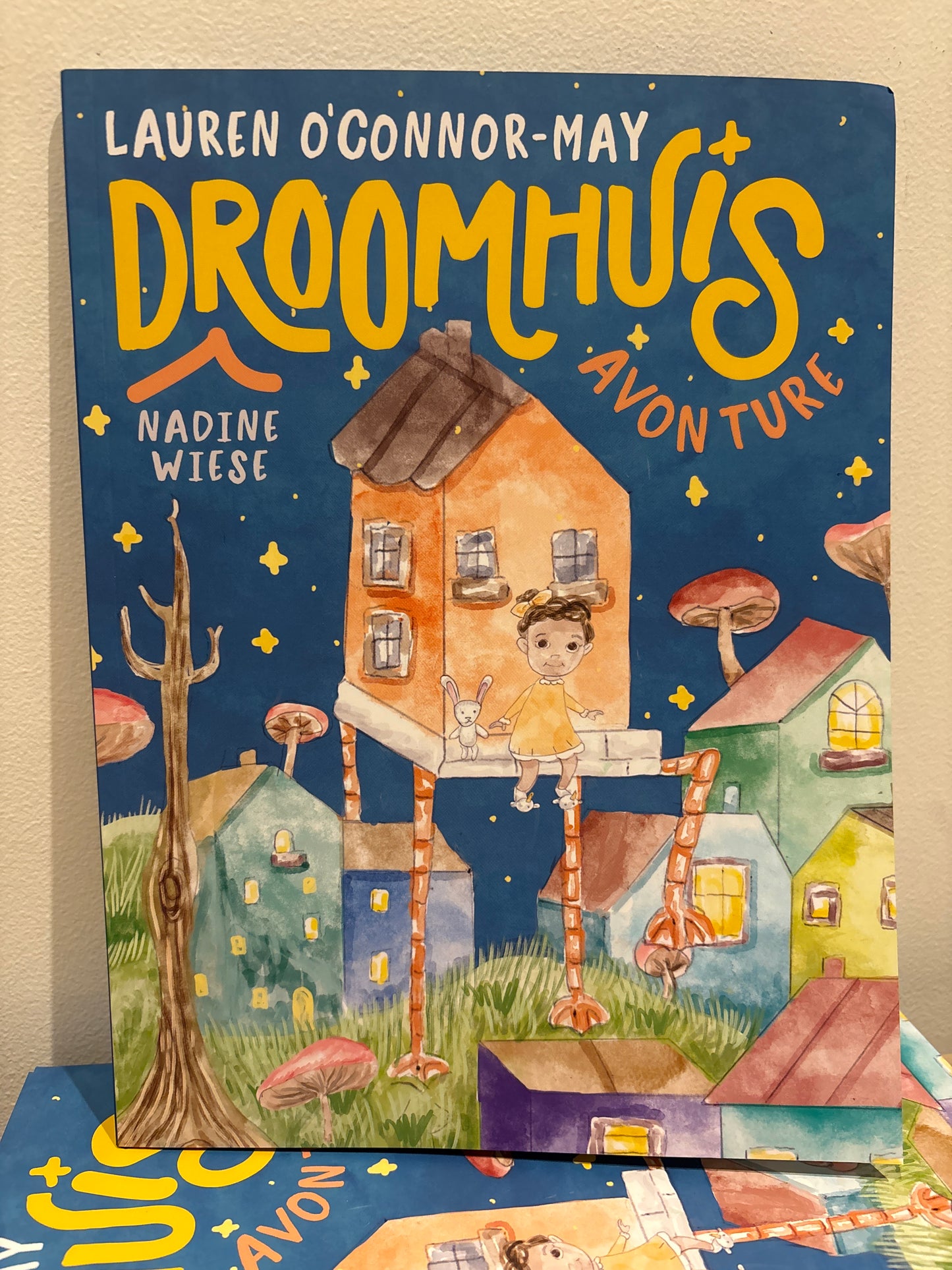 Droomhuis-avonture