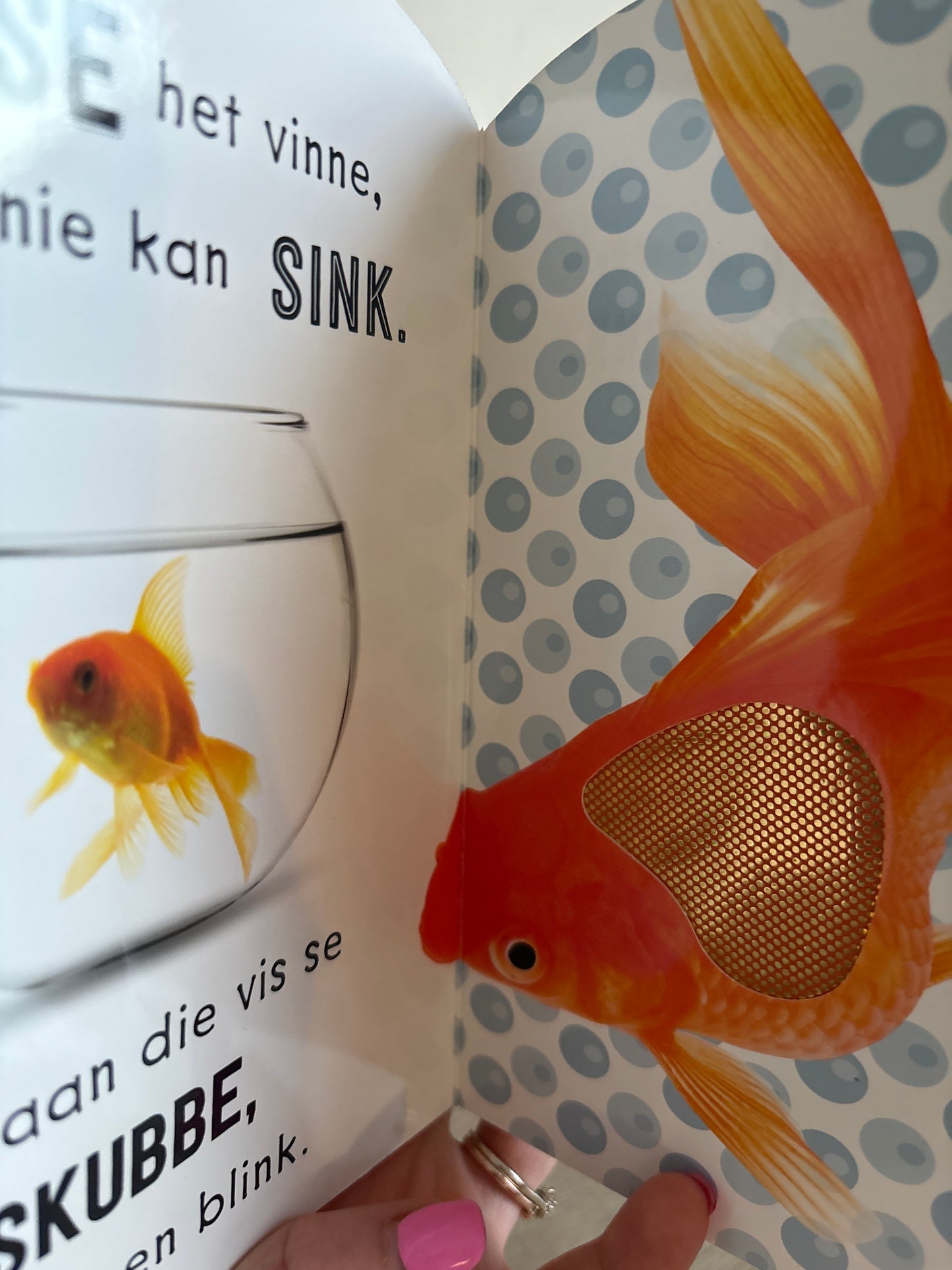 Voel en Leer - Troeteldiere