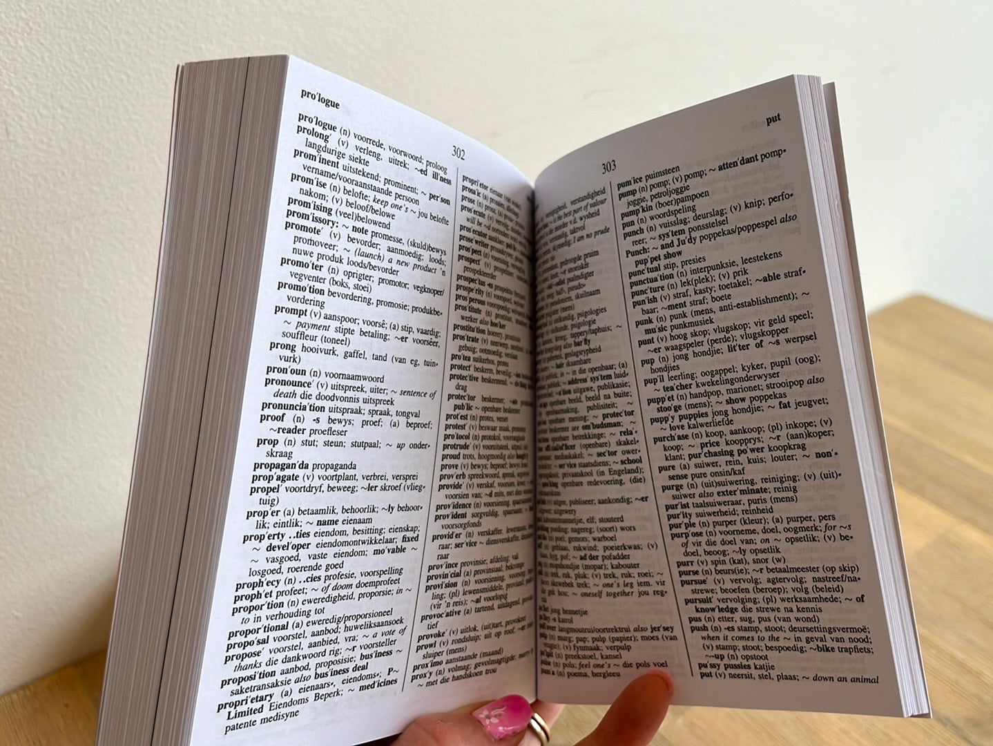 Pharos Klein Woordeboek · Little Dictionary