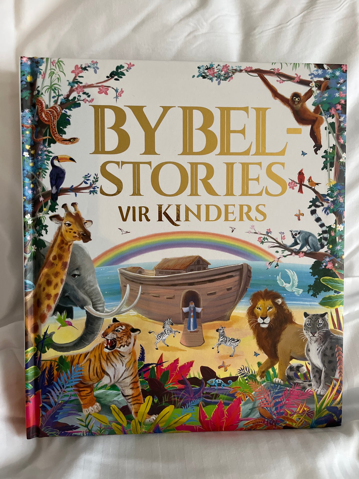 Bybelstories vir kinders