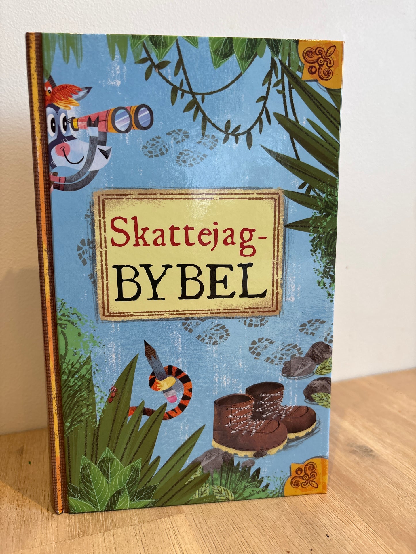 Skattejag-Bybel