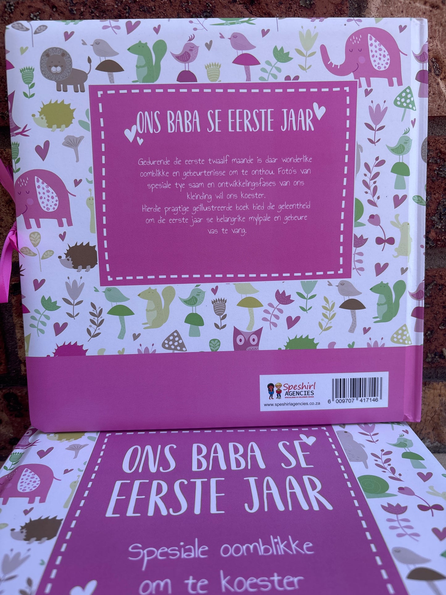 Ons baba se eerste jaar