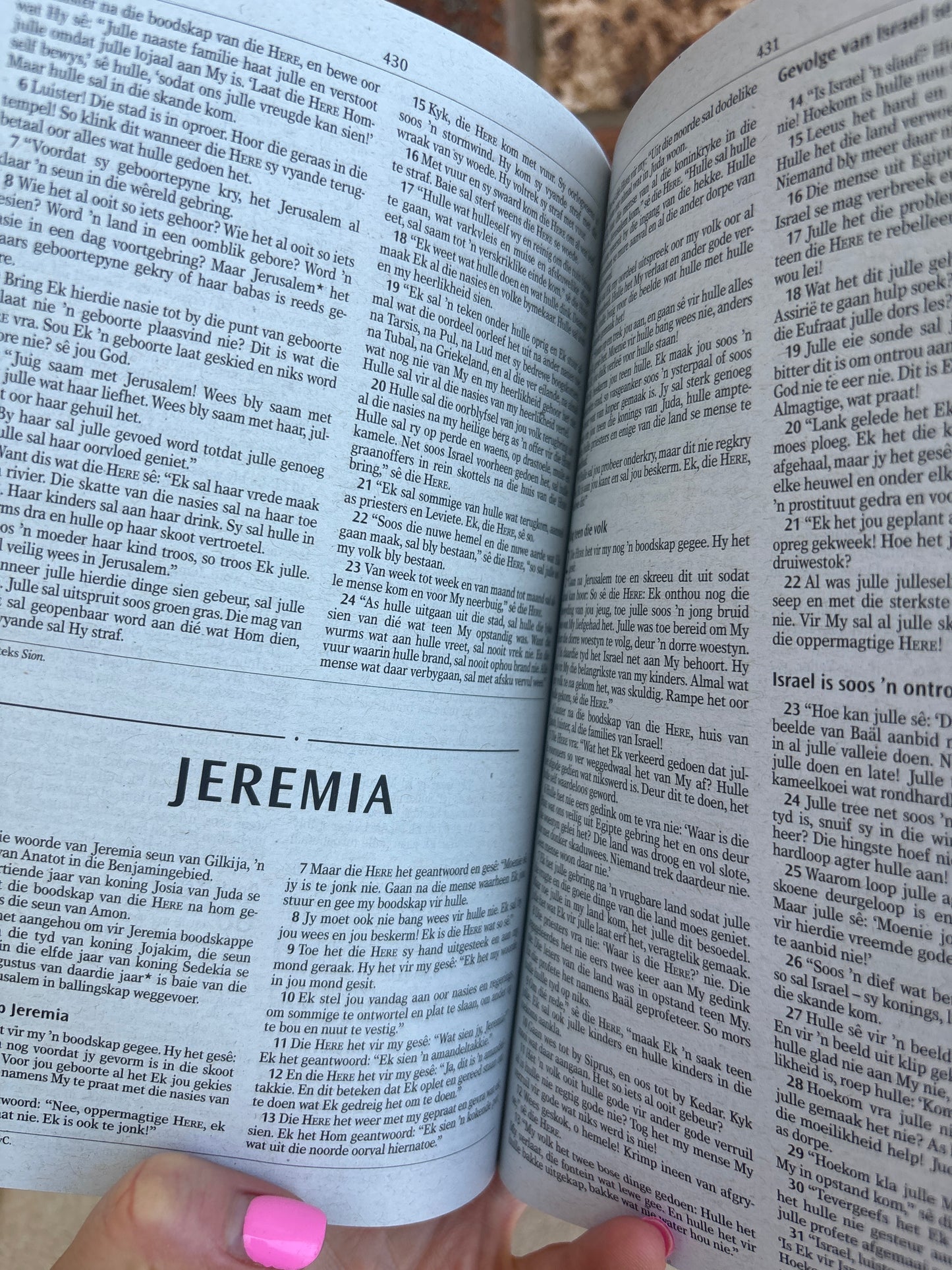 Die Bybel - NLV Uitreikbybel