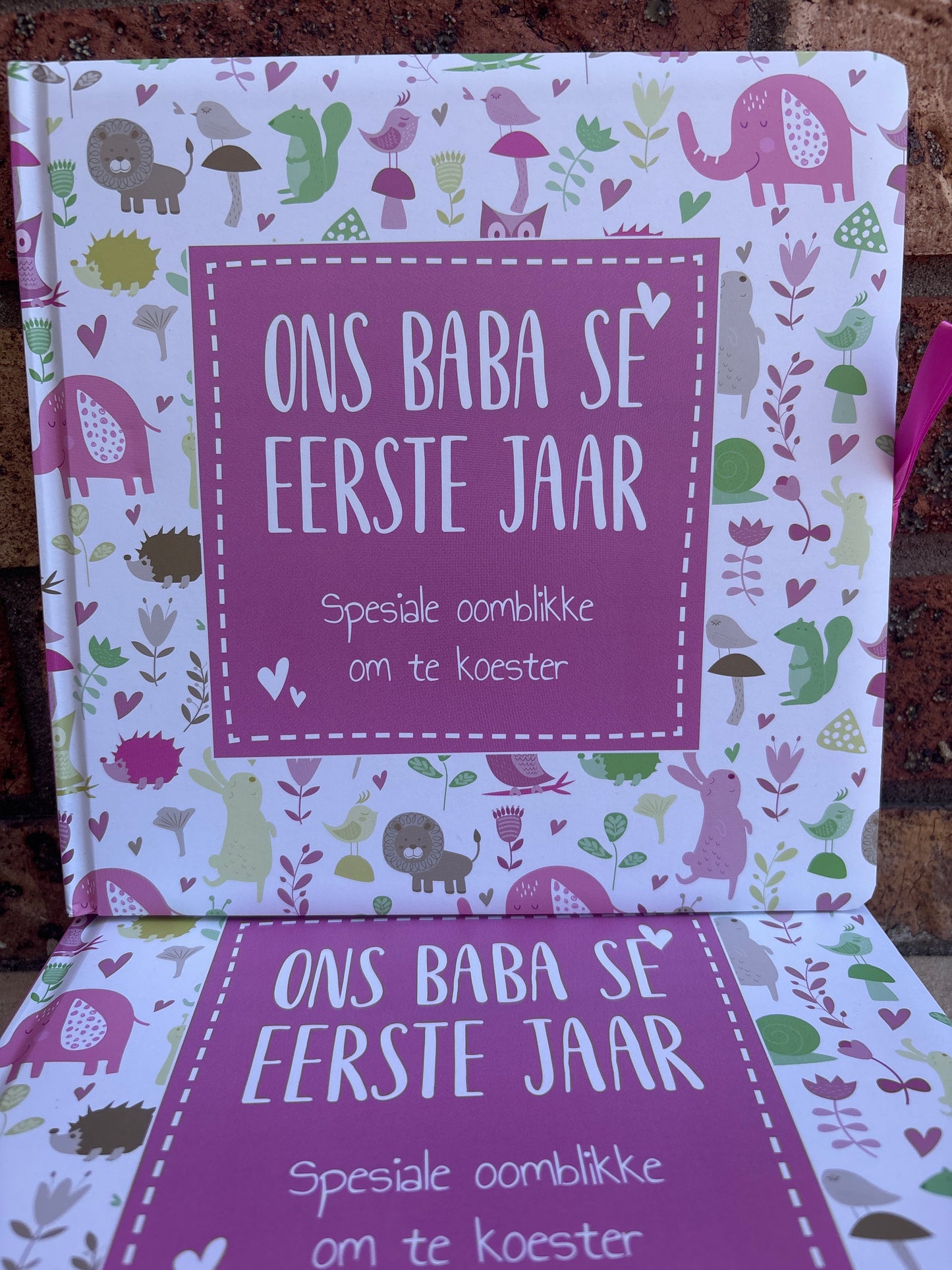 Ons baba se eerste jaar