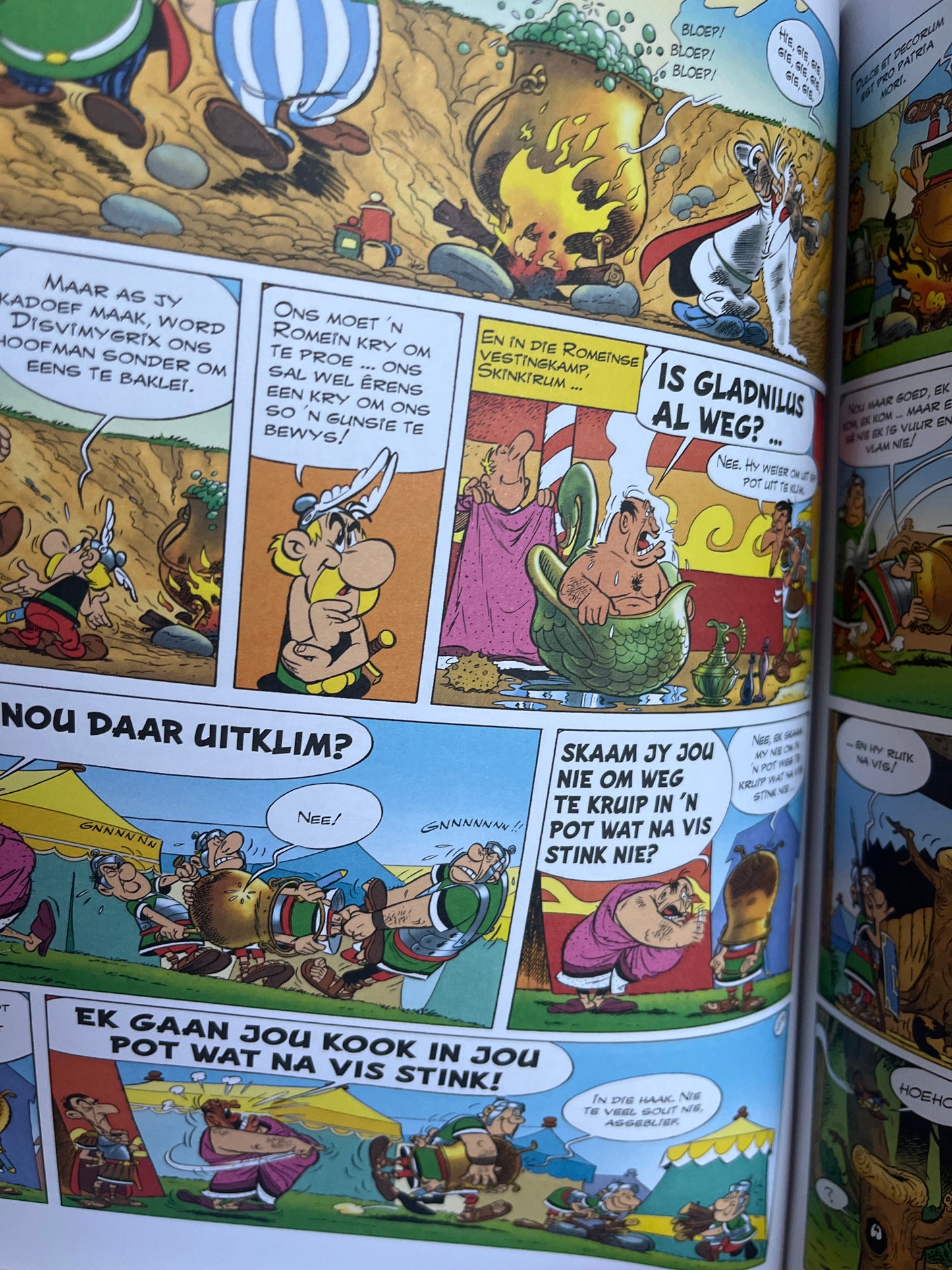 Asterix en die Groot Geveg (Boek 7)