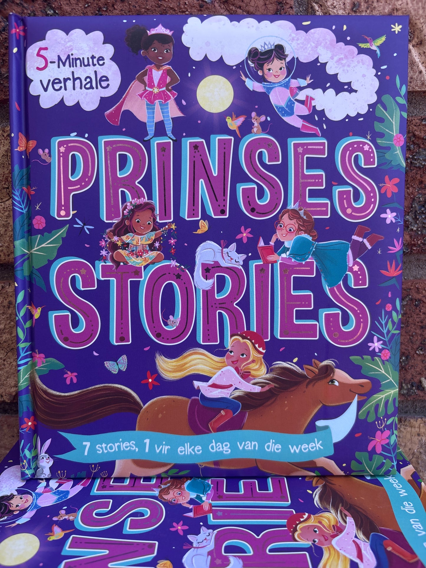 Prinses Stories - 5 minute verhale