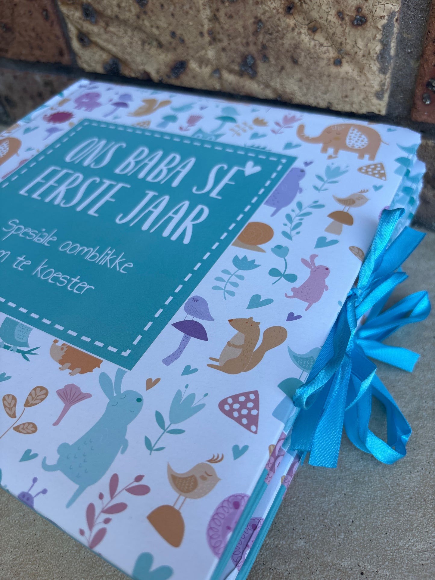 Ons baba se eerste jaar