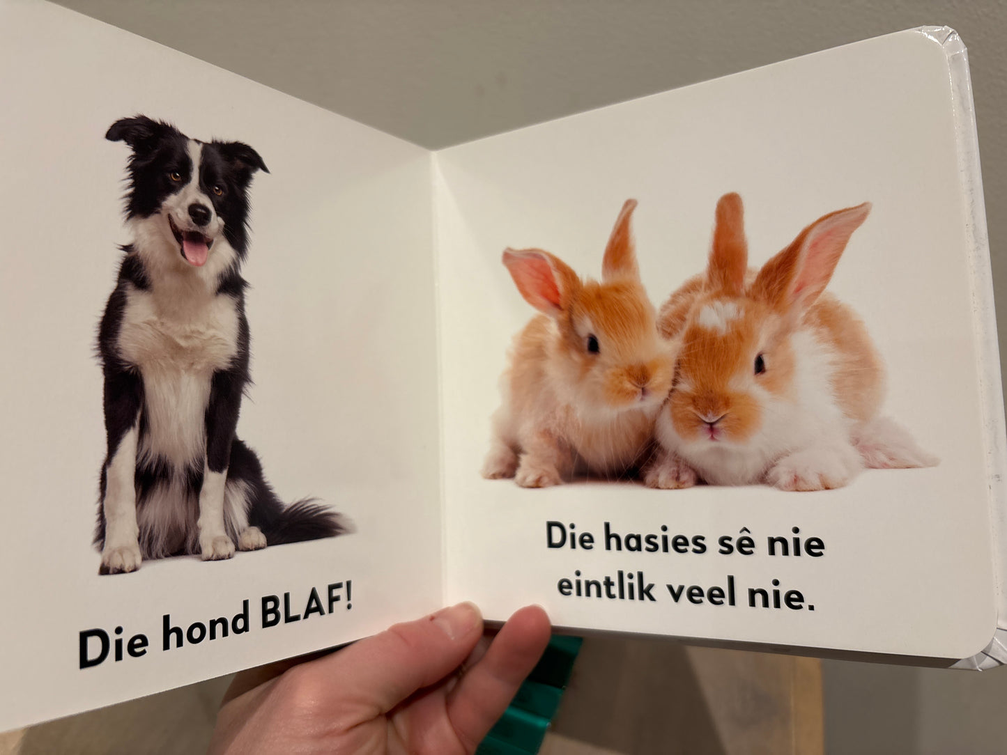 Slimkoppies - Plaasdiere