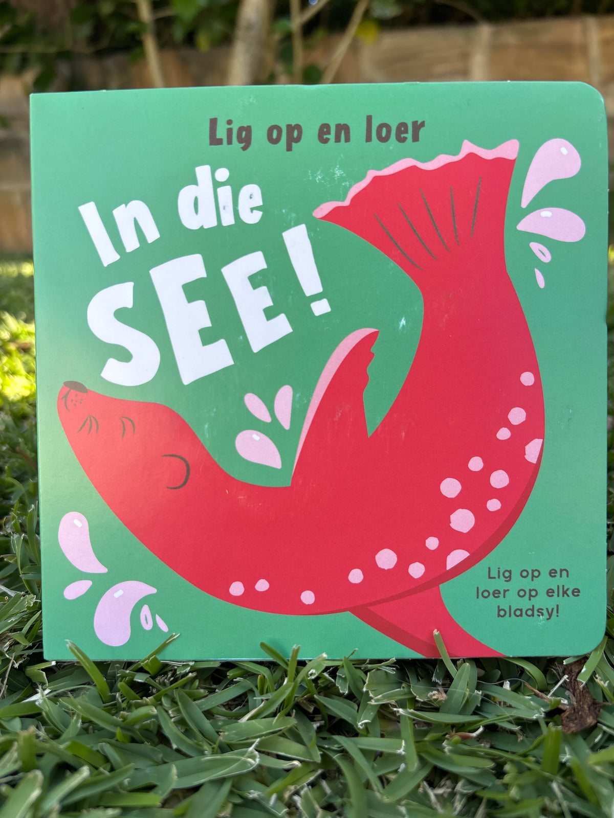 Lig op en loer: In die see