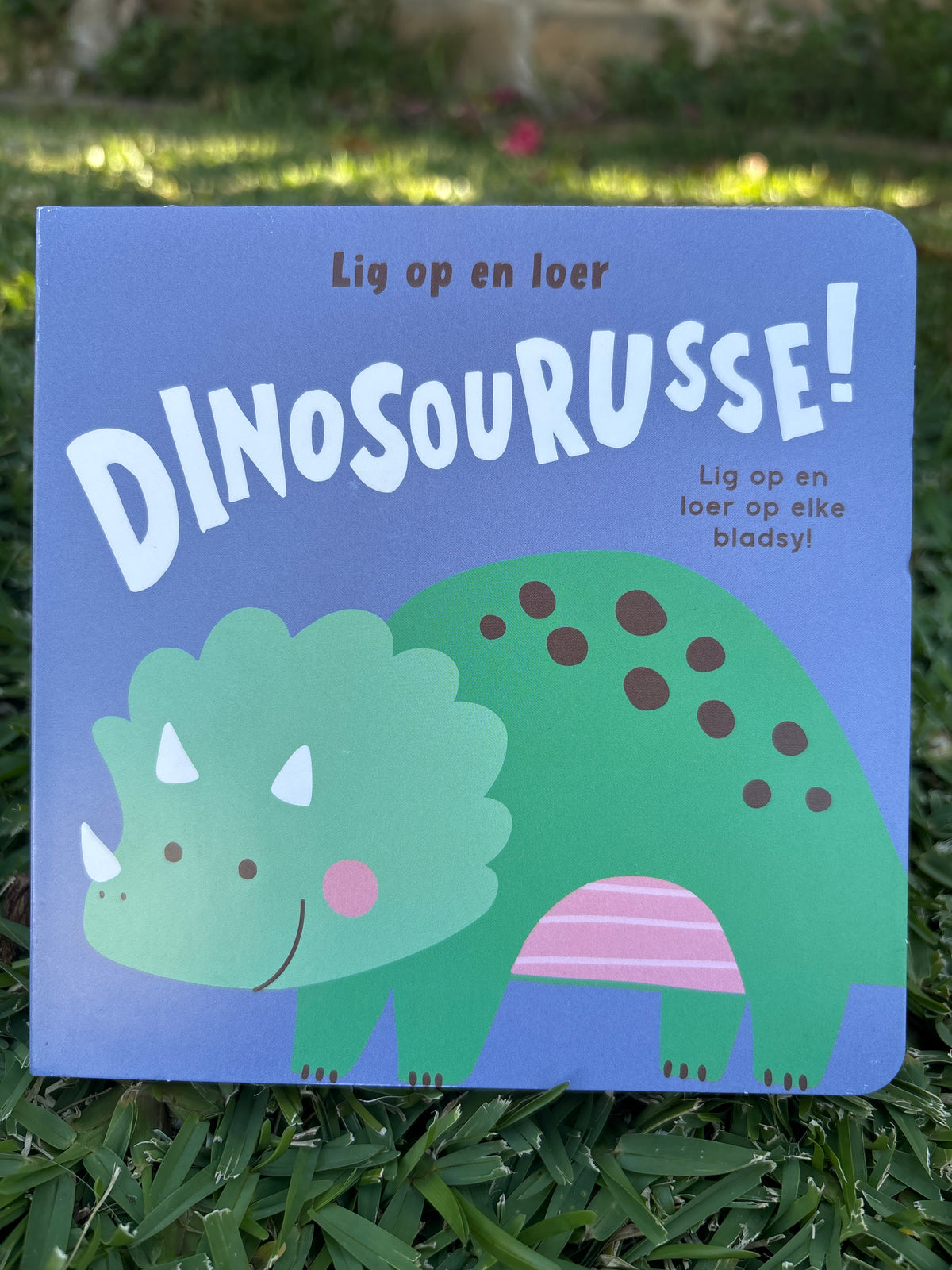 Lig op en loer: Dinosourusse