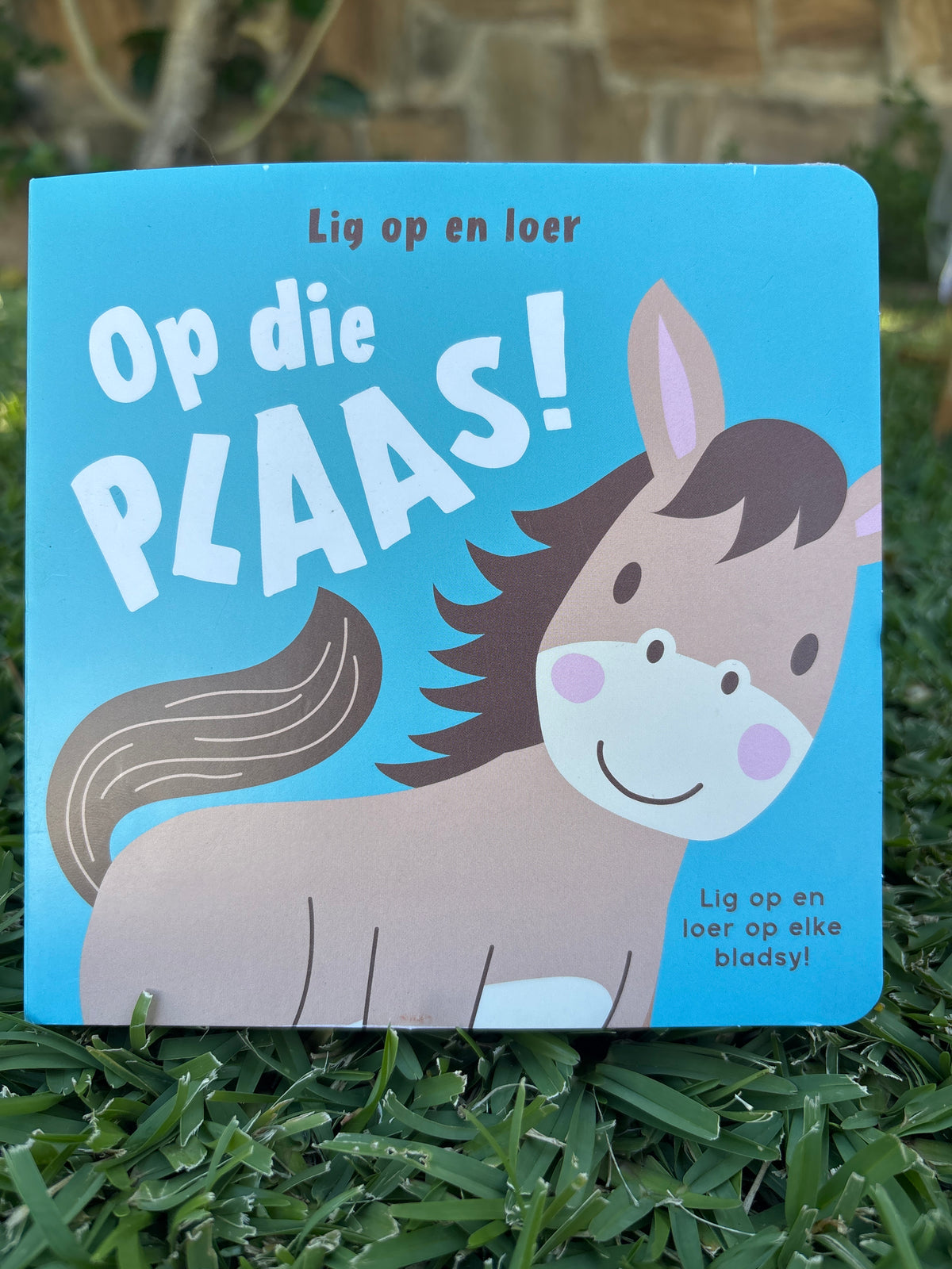 Lig op en loer: Op die plaas!