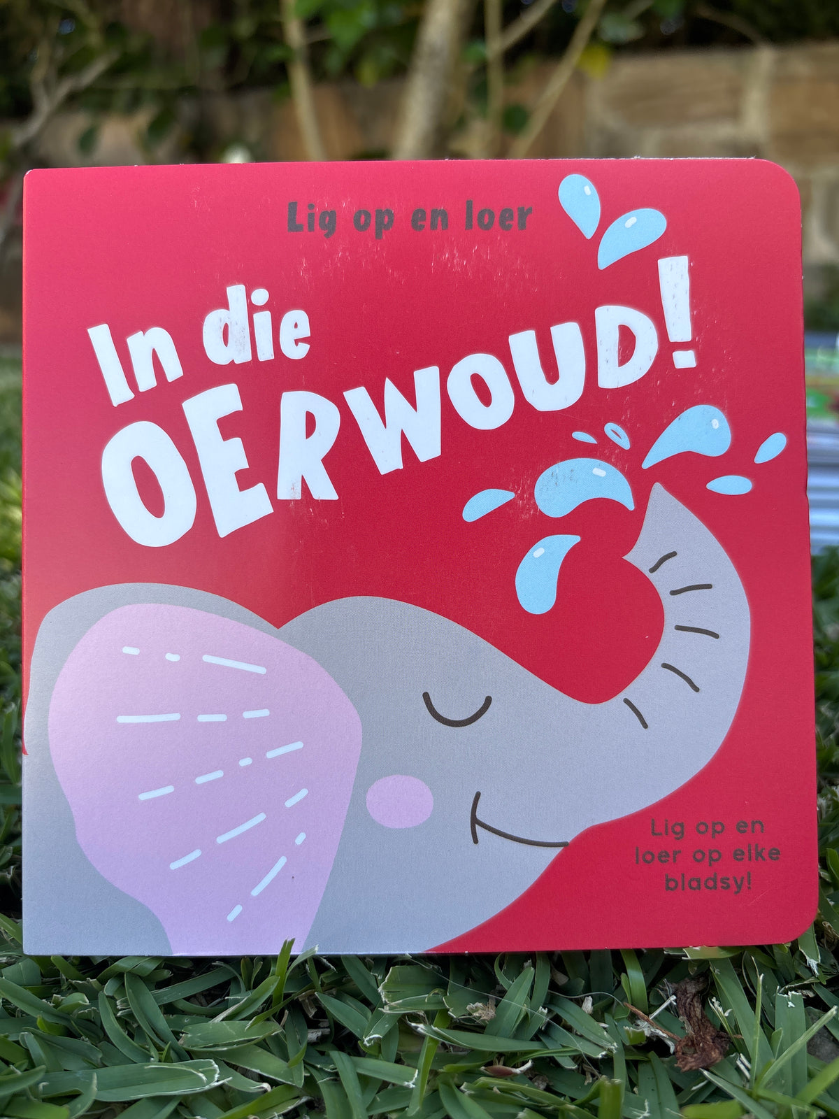 Lig op en loer: In die oerwoud!