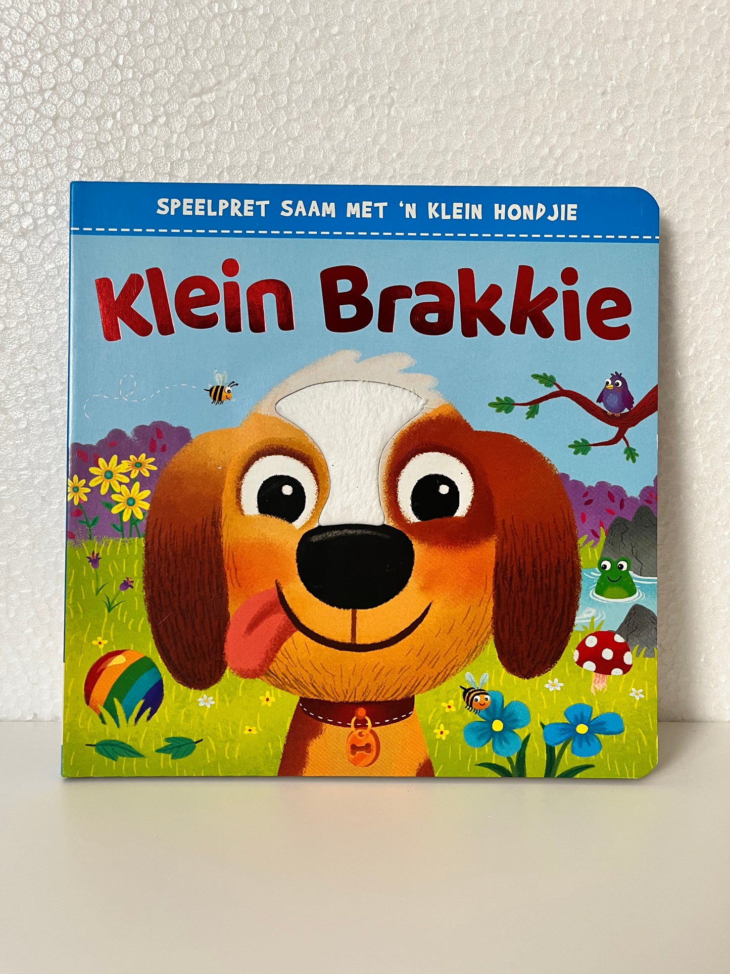 Klein Brakkie