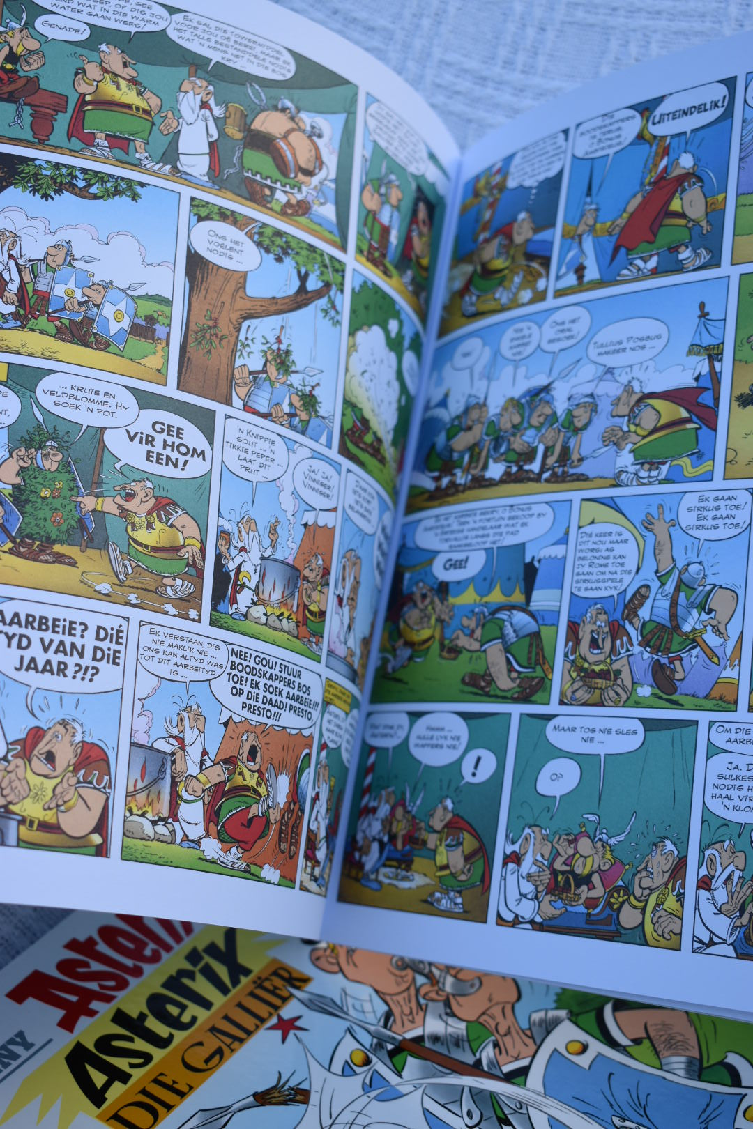 Asterix die Galliër (Boek 1)