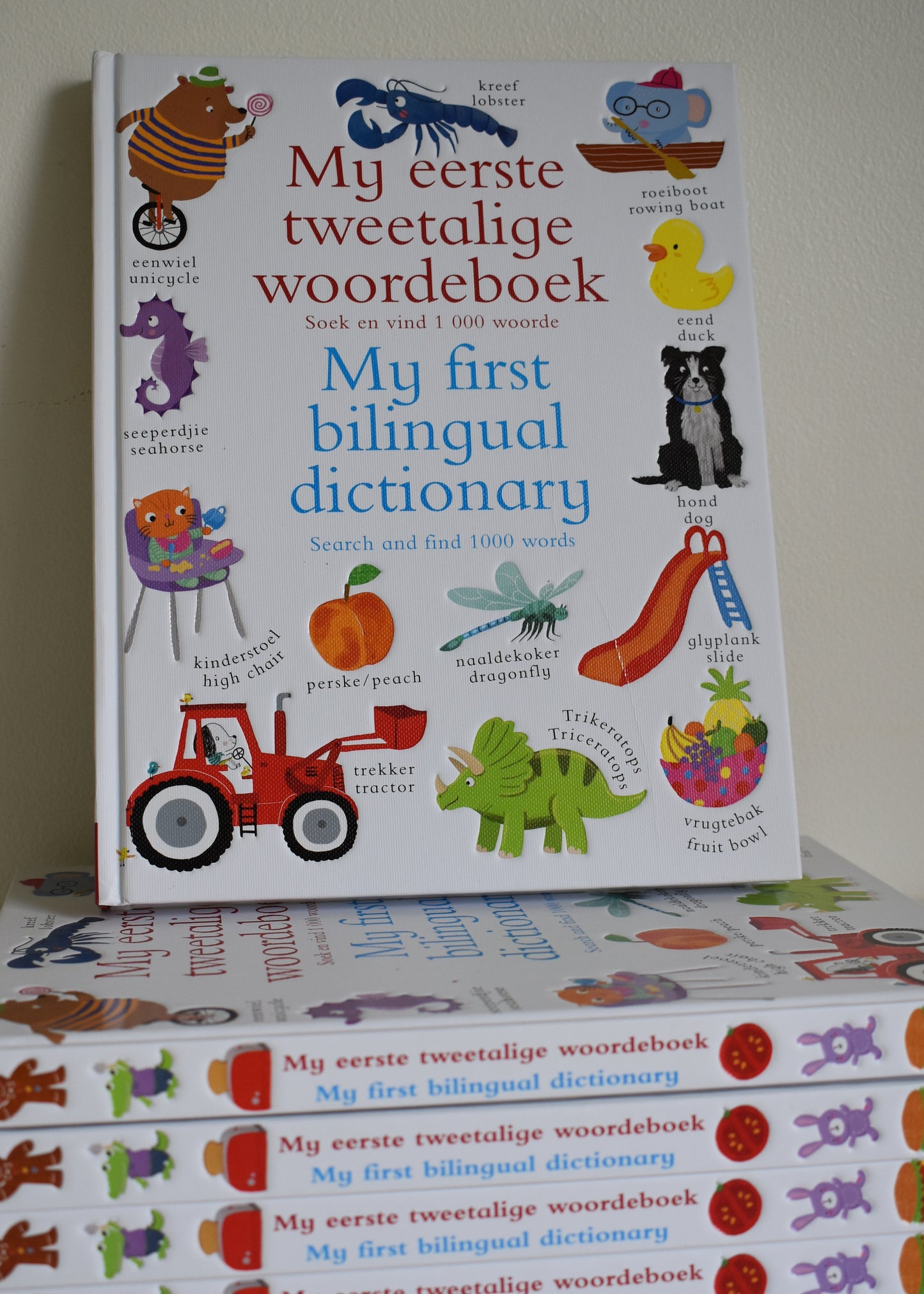 My eerste tweetalige woordeboek / My first bilingual dictionary